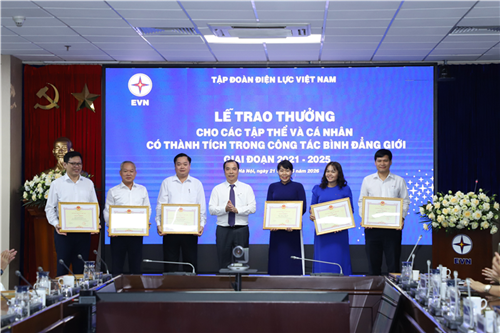 Tổng công ty Điện lực miền Nam có 3 tập thể và 4 cá nhân được khen thưởng trong công tác bình đẳng giới.