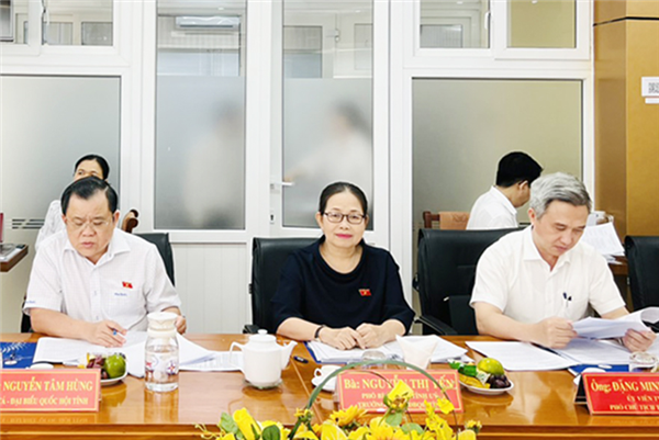 Đoàn ĐBQH tỉnh giám sát việc phát triển năng lượng tại Công ty Điện lực Bà Rịa - Vũng Tàu
